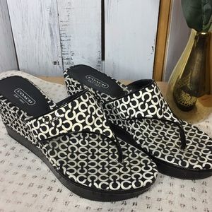 Coach Felecia Wedge- 8.5B